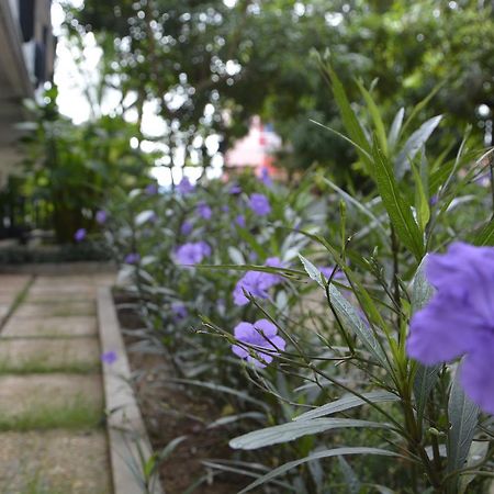 Bamboo Garden Boutique Hotel Siem Reap Exterior foto